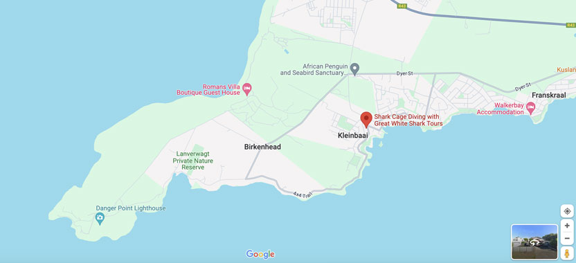 MAP-1Shark-Cage-Diving-with-Great-White-Shark-Tours---google-map-1 image MAP 1Shark Cage Diving with Great White Shark Tours google map 1