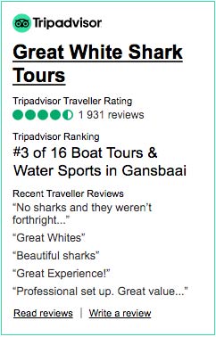 Tripdvisor-2902_-_6_for-Great-White-Shark-Tours image Reviews tripadvisor Shark Cage Diving with Great White Shark Tours
