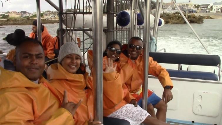 shark_13_Dec_2019_10 image shark 13 Dec 2019 10