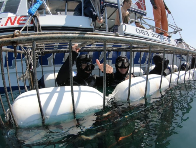 shark 13 March 2020 11