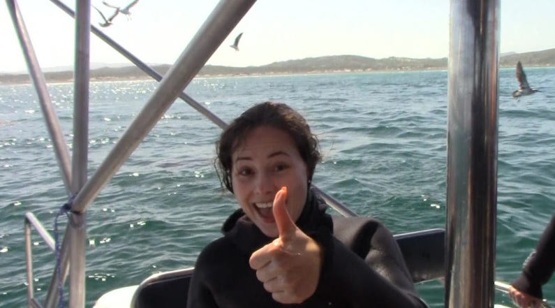 shark_14_March_2020_3 image shark 14 March 2020 3