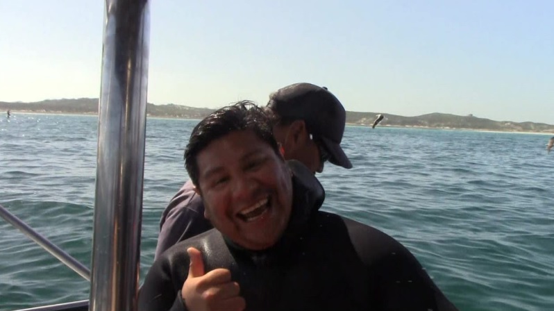 shark_14_March_2020_6 image shark 14 March 2020 6