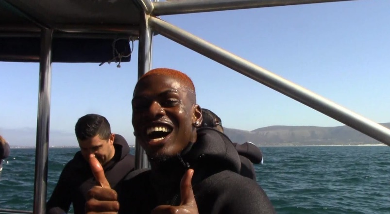 shark_14_March_2020_8 image shark 14 March 2020 8