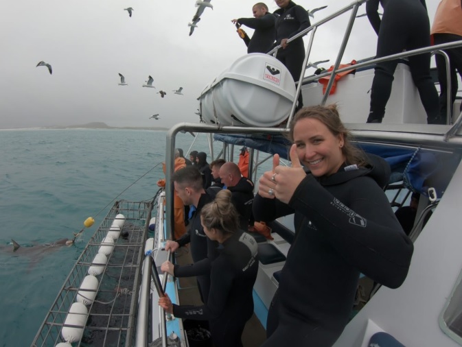 shark 22 Jan 2020 12