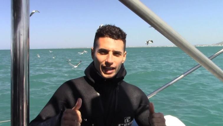 shark_28_Nov_11 image shark 28 Nov 11