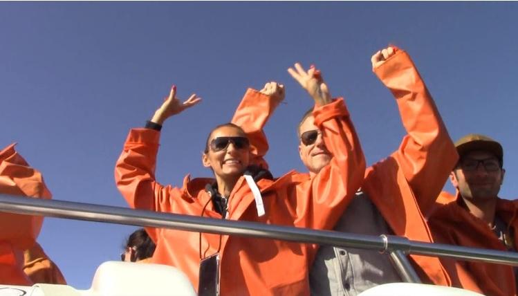 shark_28_Nov_12 image shark 28 Nov 12