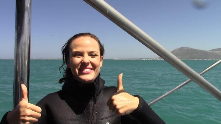 shark_28_Nov_2 image shark 28 Nov 2