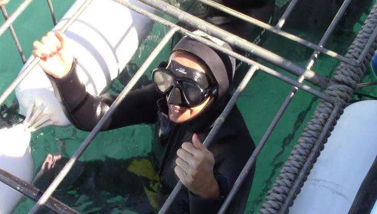 shark_28_Nov_3 image shark 28 Nov 3