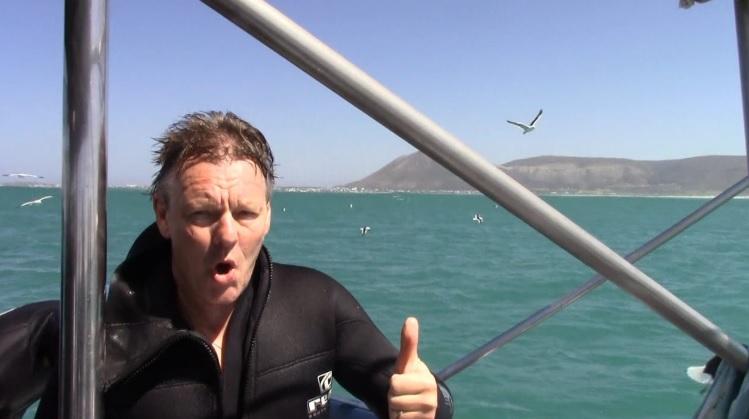 shark_28_Nov_8 image shark 28 Nov 8