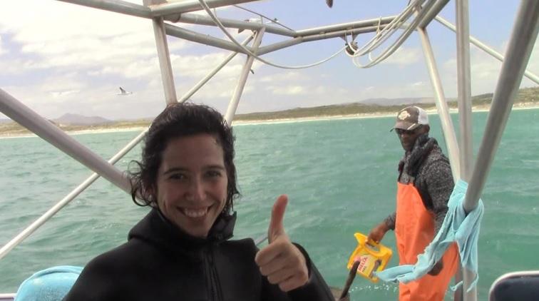 Shark_29_dec_2019_18 image Shark 29 dec 2019 18