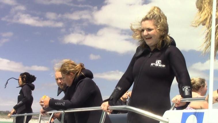 Shark_29_dec_2019_6 image Shark 29 dec 2019 6