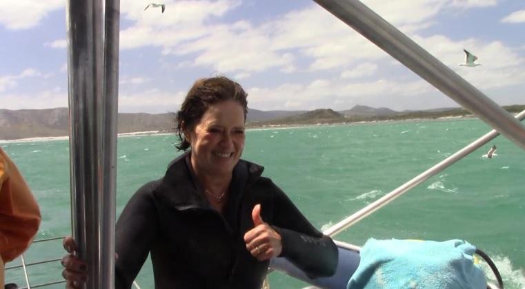 Shark_29_dec_2019_7 image Shark 29 dec 2019 7