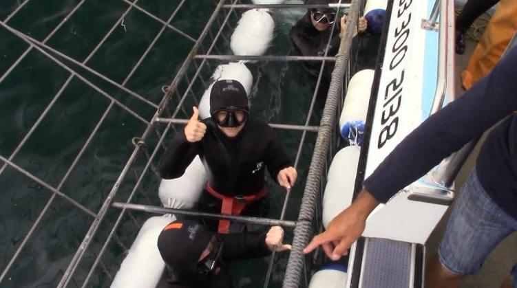 shark_2_jan_2020_11 image shark 2 jan 2020 11