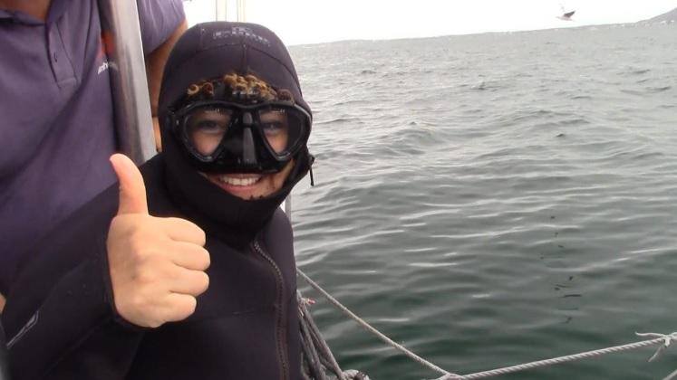 shark_2_jan_2020_5 image shark 2 jan 2020 5