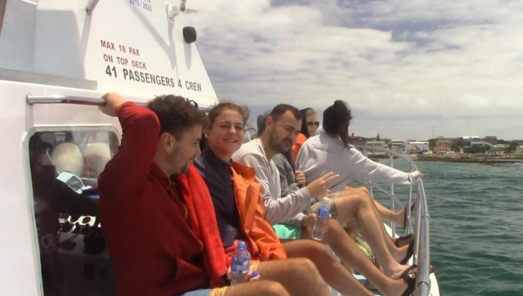 shark_2_jan_2020_6 image shark 2 jan 2020 6