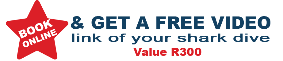 free video link R200