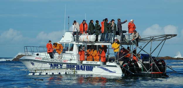 Apex met hok in water mooi