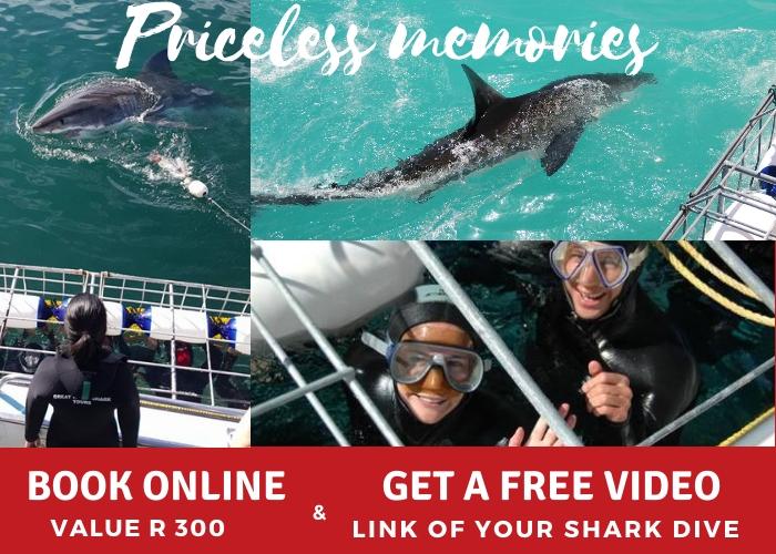 free video link specials advert R 300