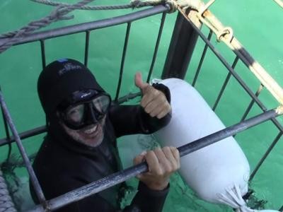 Daily Shark Cage Diving  Blog 28 November 2019