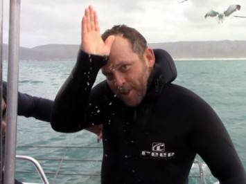 Daily y Shark Cage Diving Blog 1 February 2020